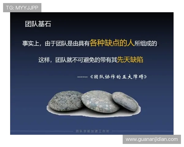 南京飞盘队的战术演变与团队协作深度解析 南京飞盘队的战术演变与团队协作深度解析