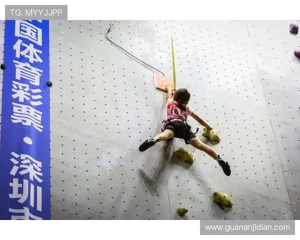 武汉攀岩队实力分析与表现评估探讨及未来发展方向研究 武汉攀岩队实力分析与表现评估探讨及未来发展方向研究
